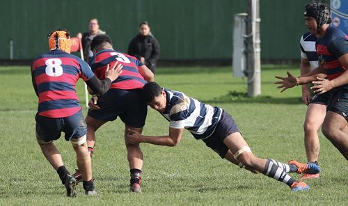 2nd XV v Hastings Boys' High School