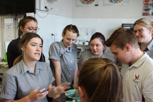 The bake-off provides an opportunity for some in-depth personality analysis. 