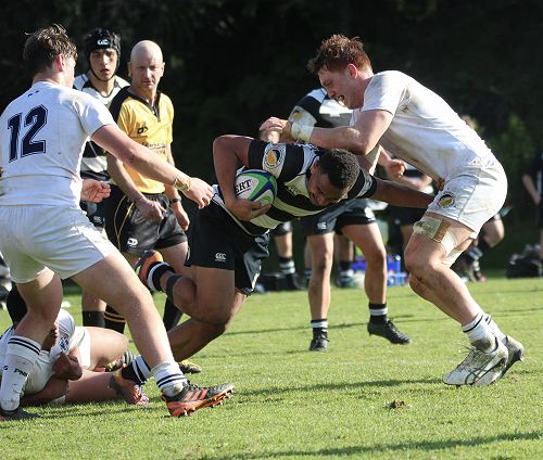 1st XV vs New Plymouth Boys' High School