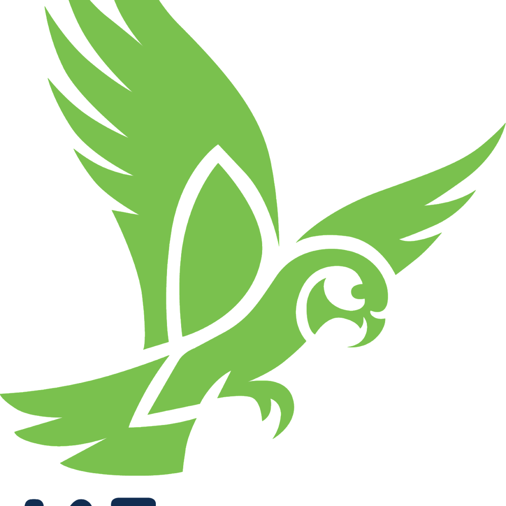 Rolleston College Term 3 Week 4