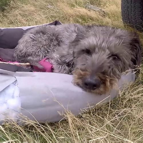 Video: Outdoor Pursuits Burnside High 2019 Hurunui River New Zealand