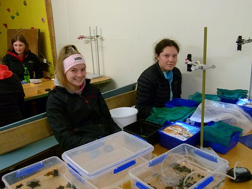 Year 13 Biology Field Trip to Wainui 2019