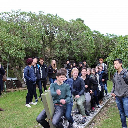 Albatross Colony Trip