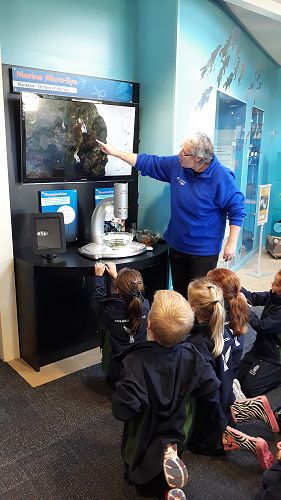 Looking even closer through a microscope.