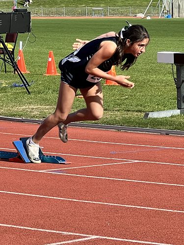 Harlow fully focussed