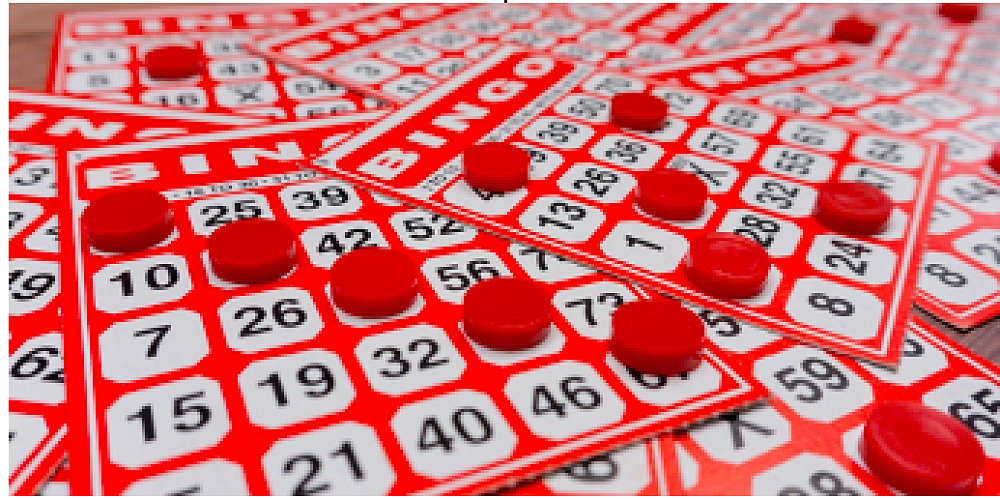 Family Bingo & Selwyn Stars — Newsletter 21 March 2024