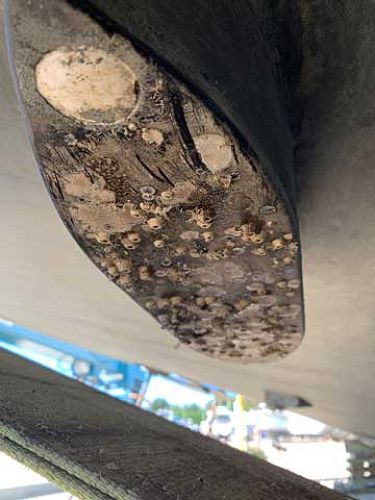 Fouled Transducer (No FOULFREE applied)