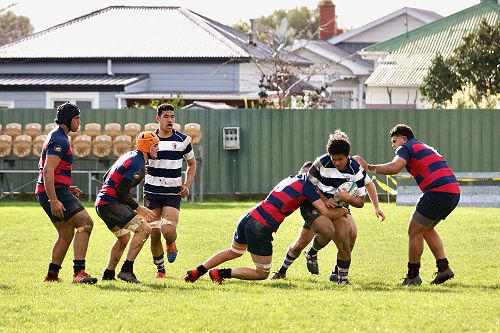 2nd XV v Hastings BHS