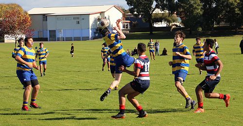 First XV vs Hastings Boys