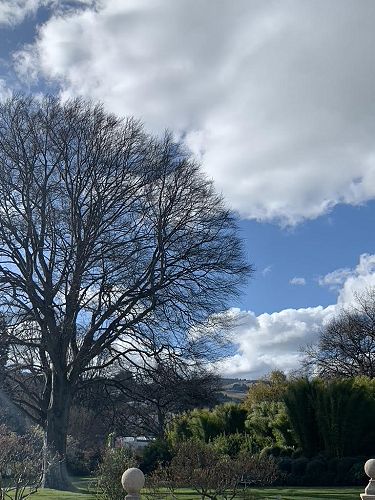 Exploring the Botanic Gardens