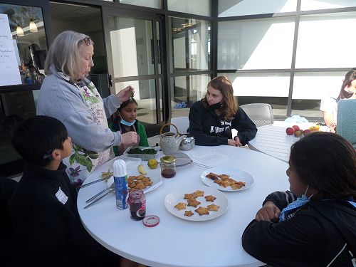 Matariki Stars at Marae