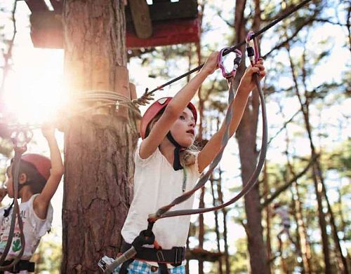 Rope Course | Adrenalin Forest Christchurch 