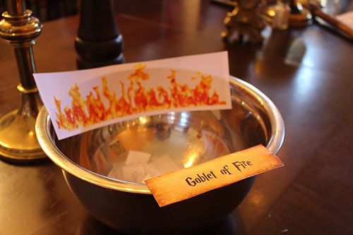 Harry Potter Theme Dinner, 6 April 2019