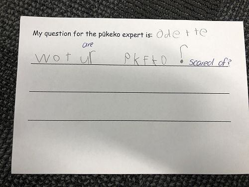 Harakeke Technology Problem