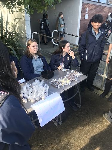 Hillcrest High School Yr 10 Market Day