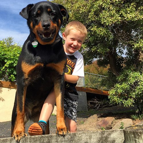 My boy Mason with his best friend, Mika