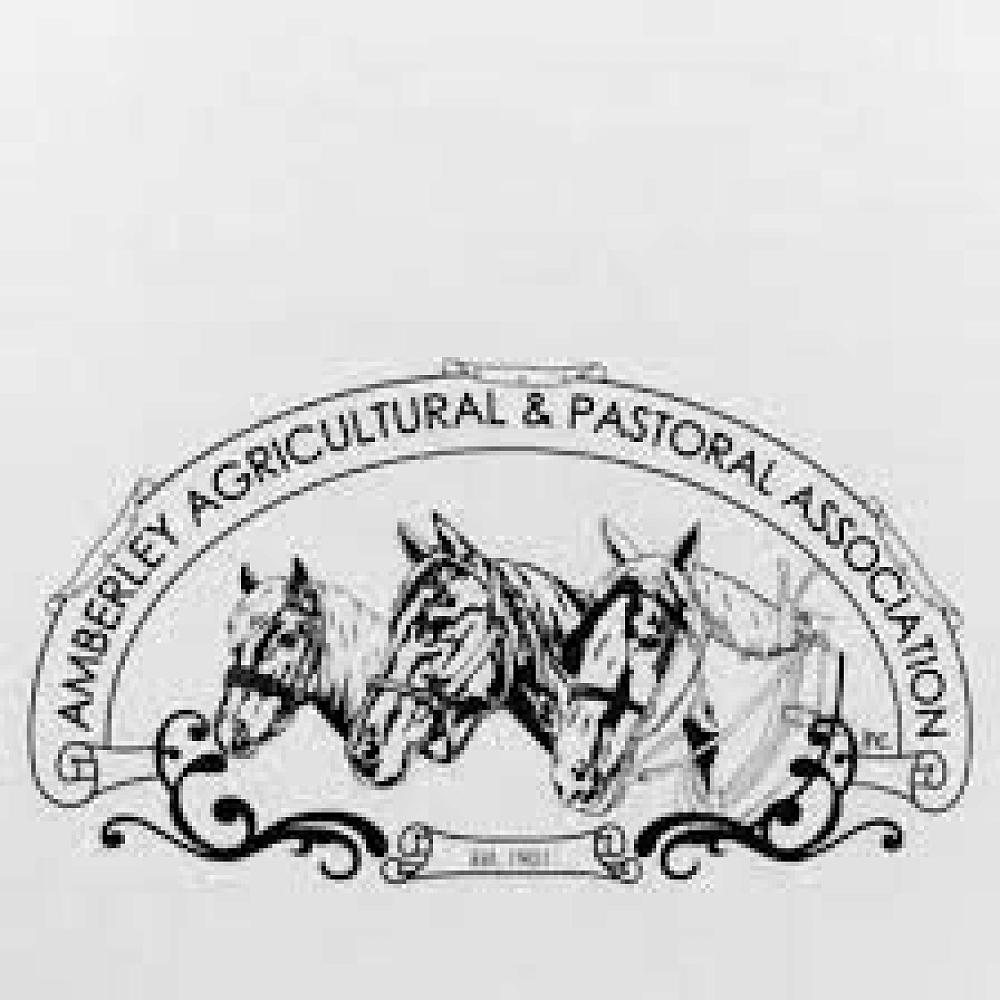 Amberley Show — 2022 Newsletter 16