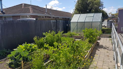 Our garden in 2016