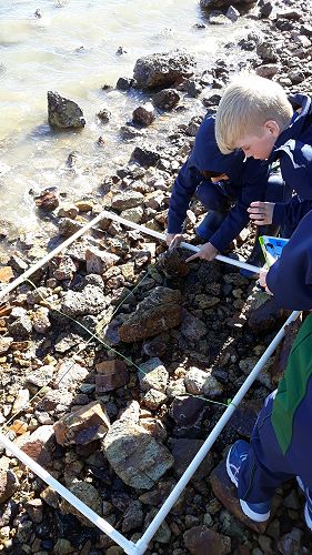 Exploring and recording life in a meter squared.