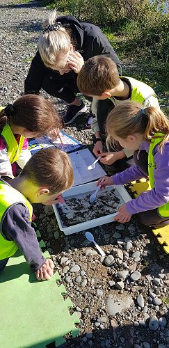 Mānuka Trip to the Willows