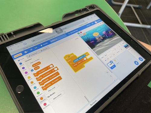 Te Ngahere Term 4 - Wider Curriculum - Scratch