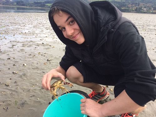 Year 12 Biology Trip To Blueskin Bay