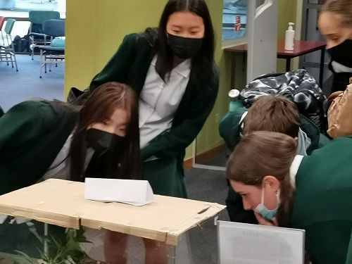 They must be in here somewhere!