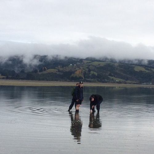 Year 12 Biology Trip To Blueskin Bay