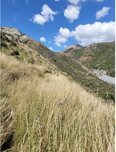 Whanau tramp up the back of Mt Hutt