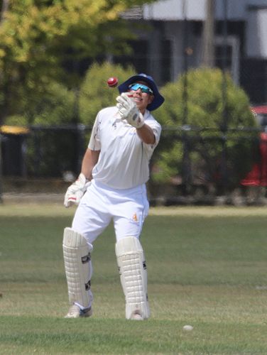 2001 Cricket Reunion