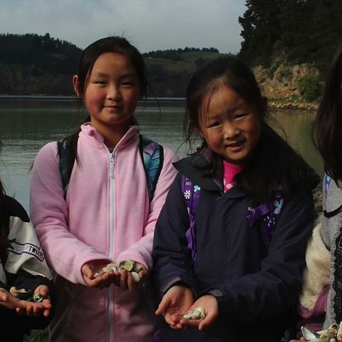 Video: Kōwhai Camp