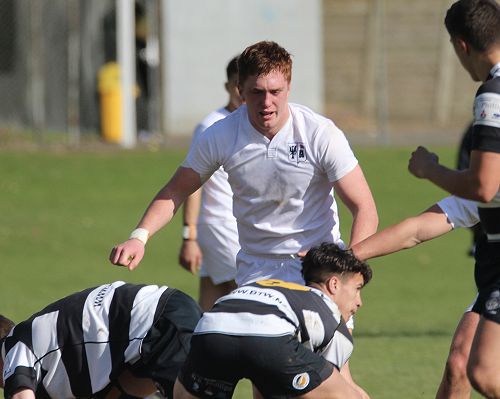 1st XV vs New Plymouth Boys' High School