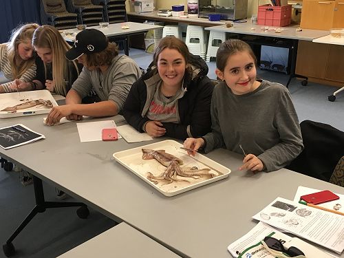 13 Biology Evolution