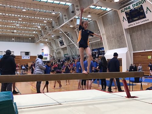 Gymnastics 2017