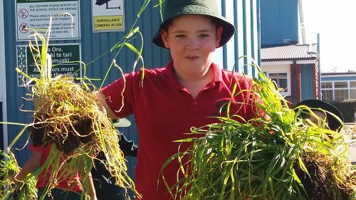 Sam loves pulling out weeds in our Food Forest