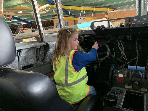 Stella plane controls