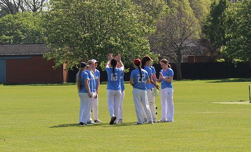 VMC Cricket Team Wicket
