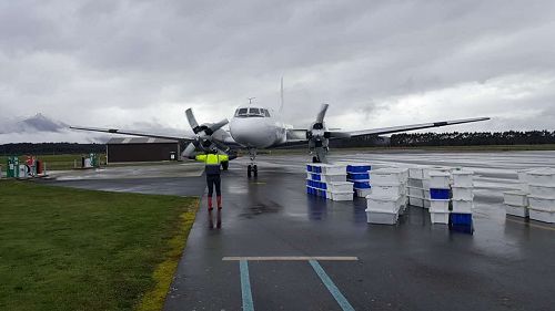 Te Anua Charter Flight