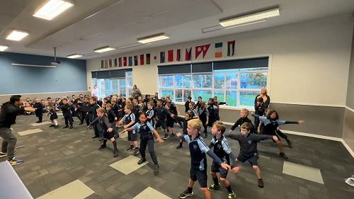 Video: Pūkeko and  and Pīwakawaka individual dance