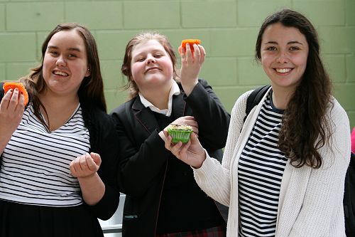 Outdoor Music Concert/Market Day