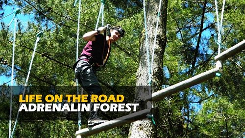 Adrenalin Forest | Christchurch 