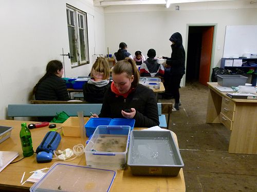 Year 13 Biology Field Trip to Wainui 2019