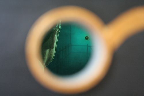 Fiction Presentation