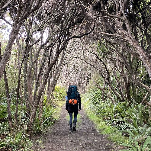 Duke of Edinburgh - Stewart Island Tramp 2021
