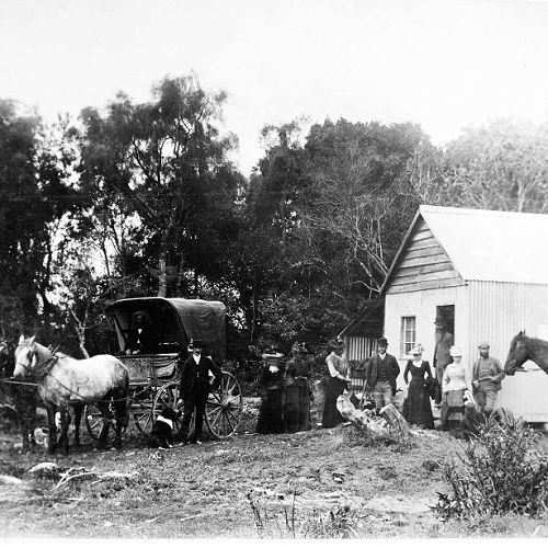 Women voters in Tahakopa, New Zealand, after the country became the first to grant women's suffrage, 1893.