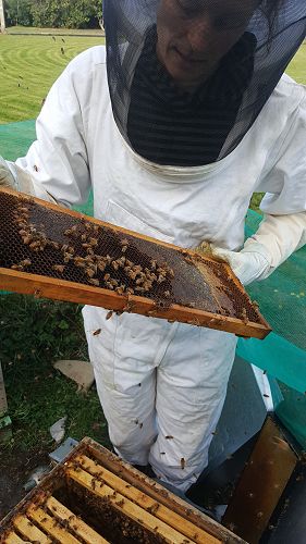 EOTC for Learning and Support Class