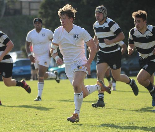 1st XV vs New Plymouth Boys' High School