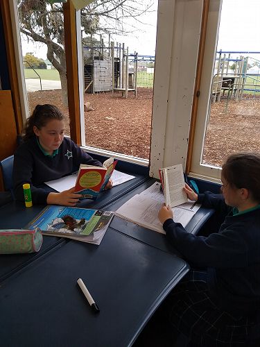 Reading Kensuke's Kingdom