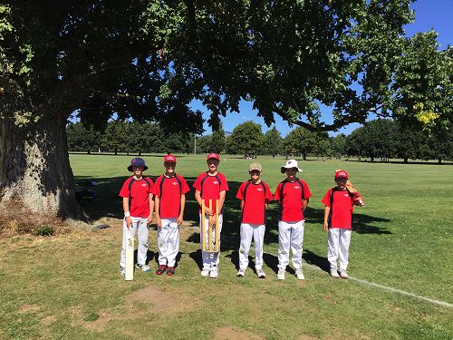 CAIMS 2019 Summer Tournament Winners. 