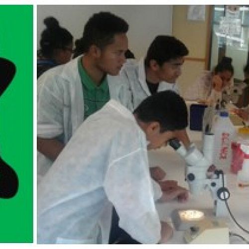 Amanaki STEM Academy